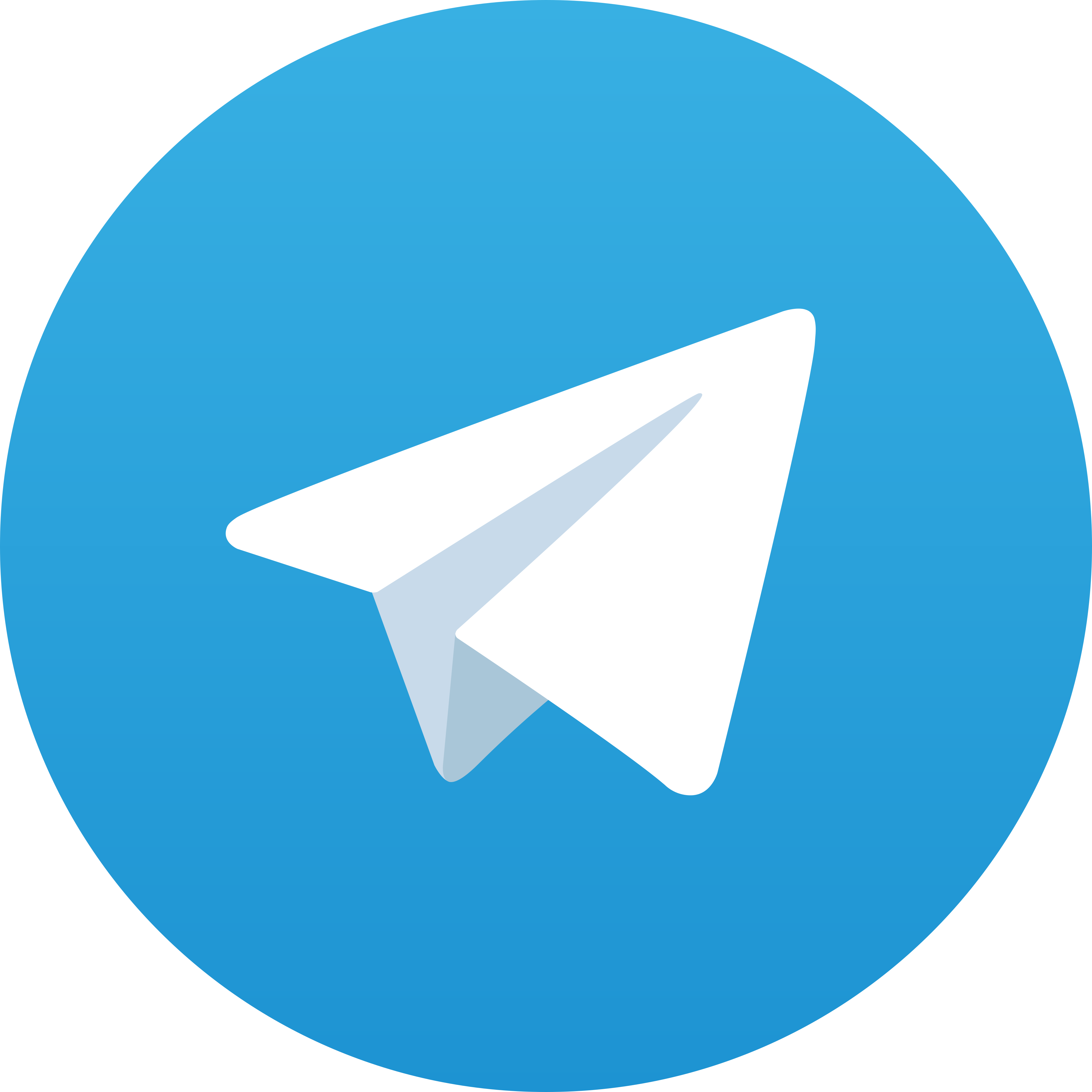 Telegram Win101